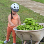 Agroturism