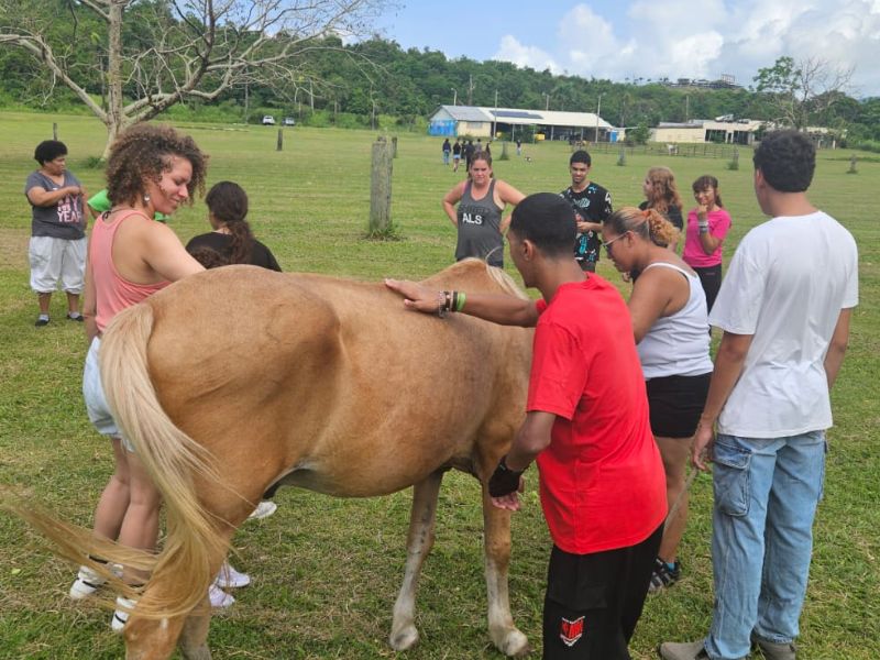 Caribbean Ability Park - Fotos Web (3)