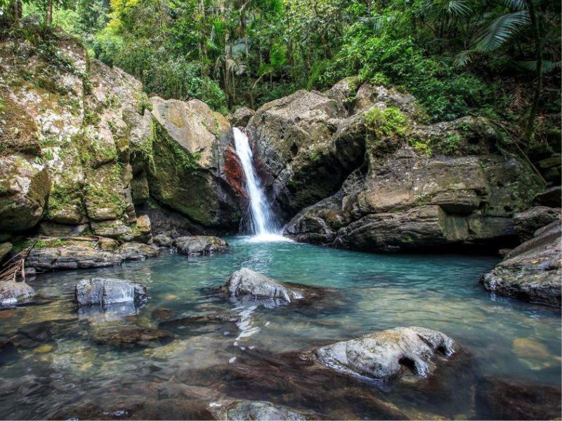 el yunque_things to do_puerto rico 3